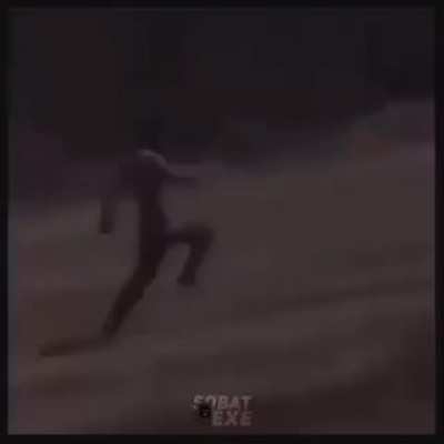 Wat da dog doin