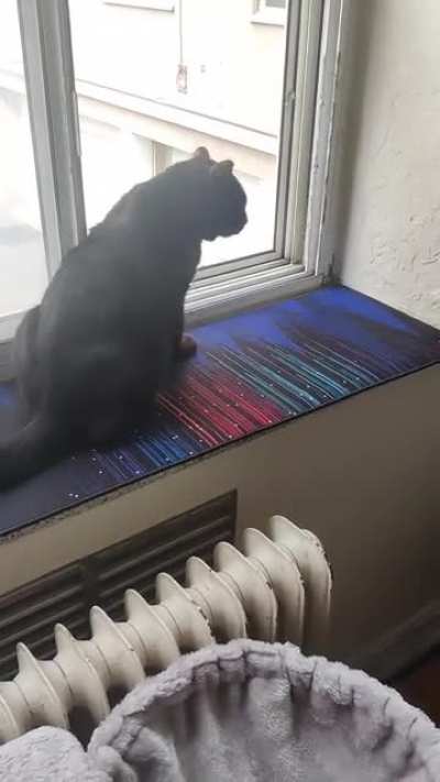 Miles' window of opportunity to make friends is open ?