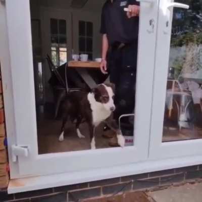 He can't go outside until you open the door!!