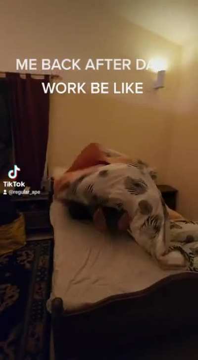 This Ape that trying to live as a human