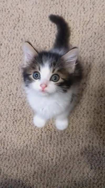 Baby yells from my foster, David.