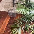 "What did you do??"