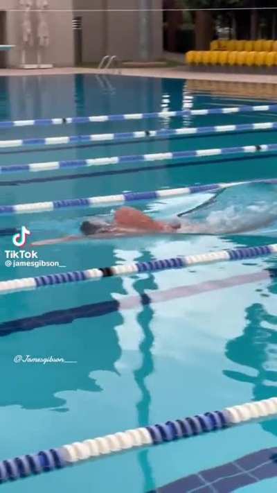 Swimmer not breaking surface tension