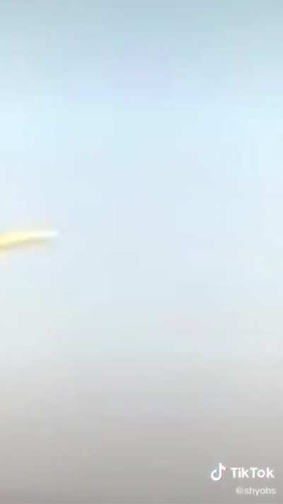Squirrel ? in da plane ??