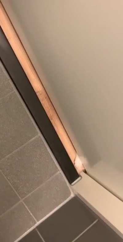 I can’t even use the toilet in peace anymore since my cats adopted me