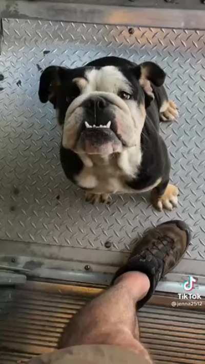UPS driver's friends