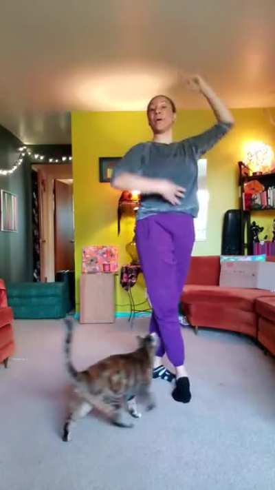 My sister is a Ballet teacher and with the remote schooling due to Coronavirus she now has to record her lessons. A certain somebody is adapting to this very enthusiastically!