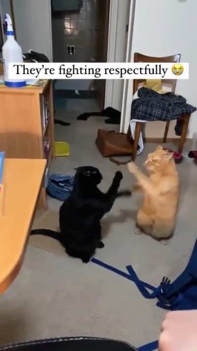 Respectfully Fighting
