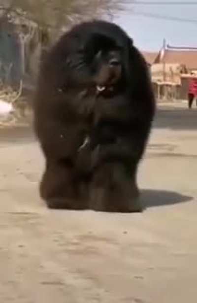 What a unit