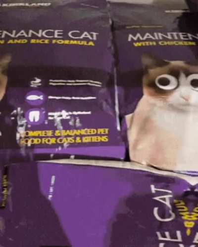 Eyeing the Costco