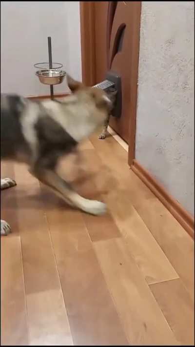 Mistakes were made....