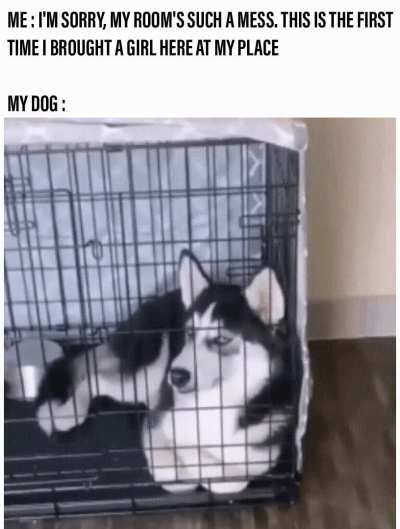 "I'm tired of your sh*t"