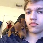 Mia, the official shoulder dog