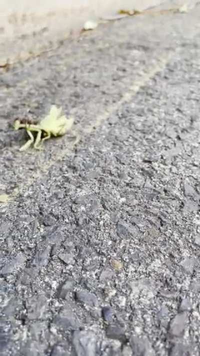 Maybe Maybe Maybe