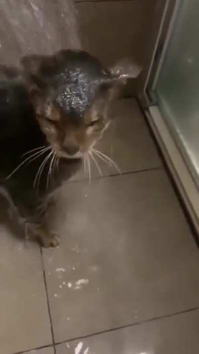 shower day ?