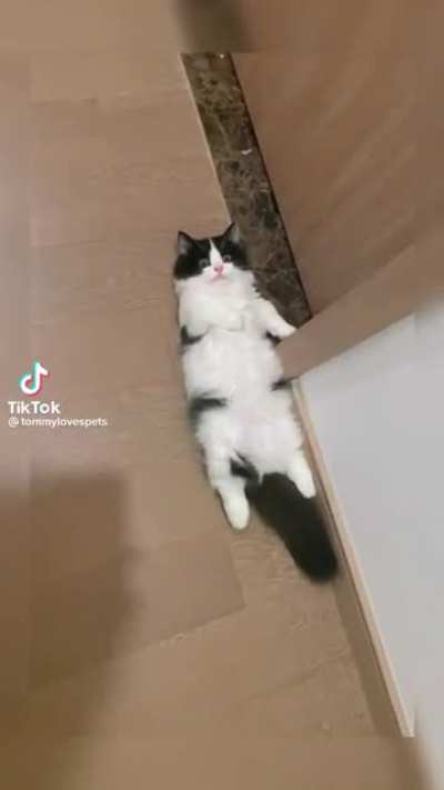 Just chillin’