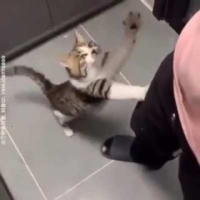 BONK