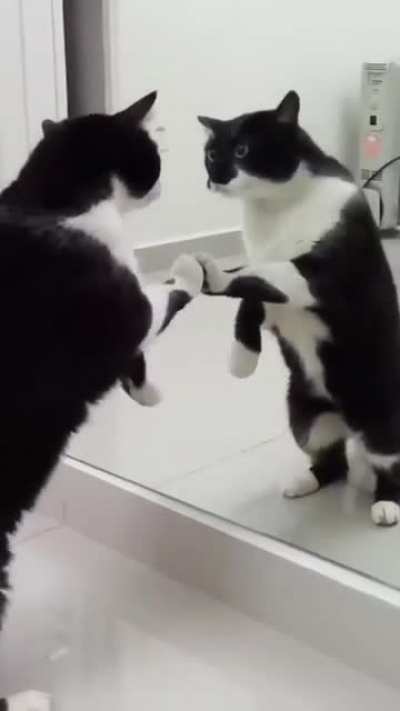 Maybe Maybe Maybe