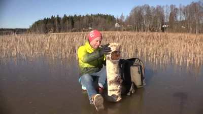 Man killed by a log
