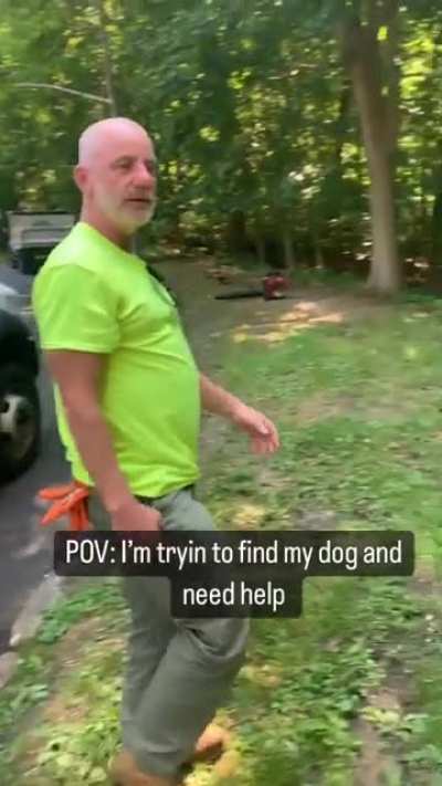 Attempting to find a lost dog ?