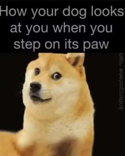 I have gained the ability to make gifs