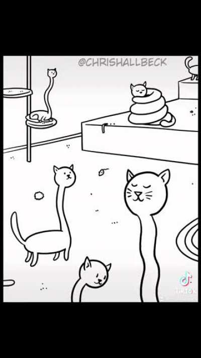 House of tall cats.