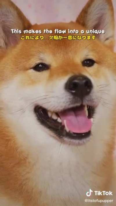 Motivation time with Tofu