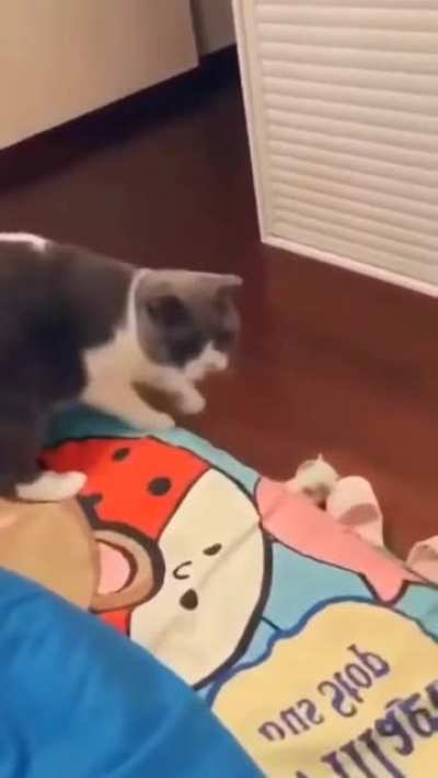Oh no. Anyway...