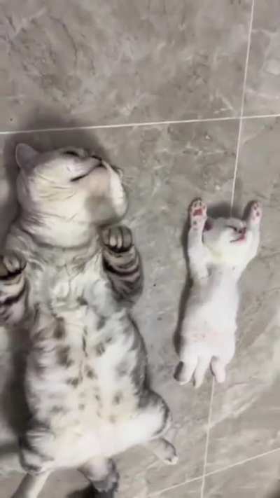 cute