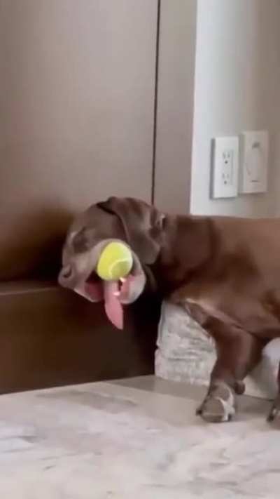 Sleeping with his favourite ball