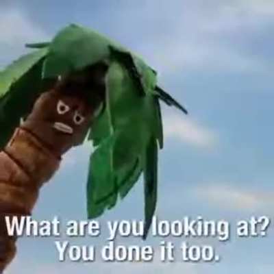 Coconut ? for dry !