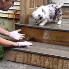 We all could use some help sometimes