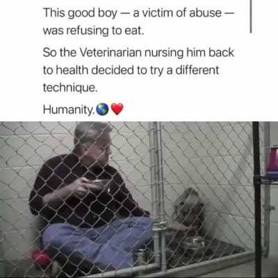 Restoring faith in humanity