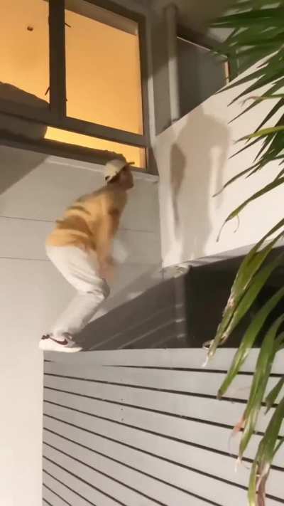 to jump to the 2nd level balcony