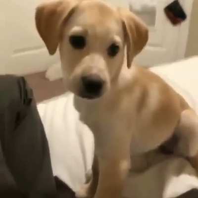 he was not a baby