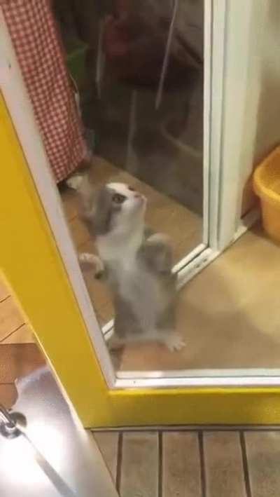 Cute and Small