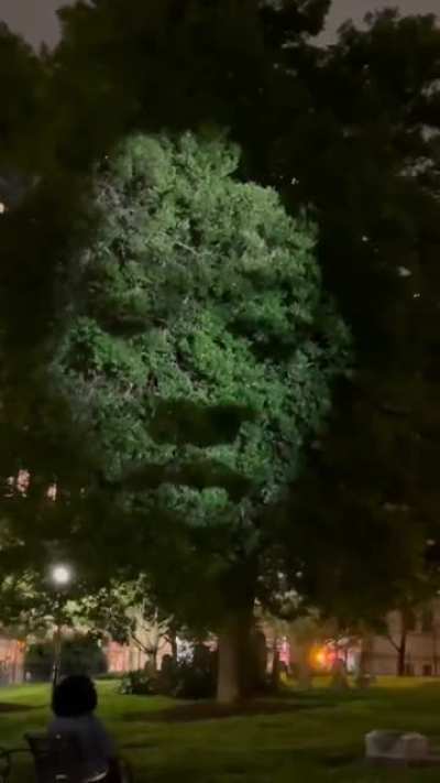 To pay tribute to all the enslaved people buried in cemeteries with no name, artist Craig Walsh put a face in the trees to honor their souls in an installation in Charlotte, North Carolina, called "Monuments"