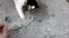 I was holding my breath until..