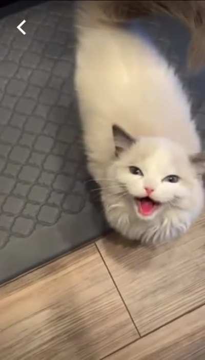 You hungry?