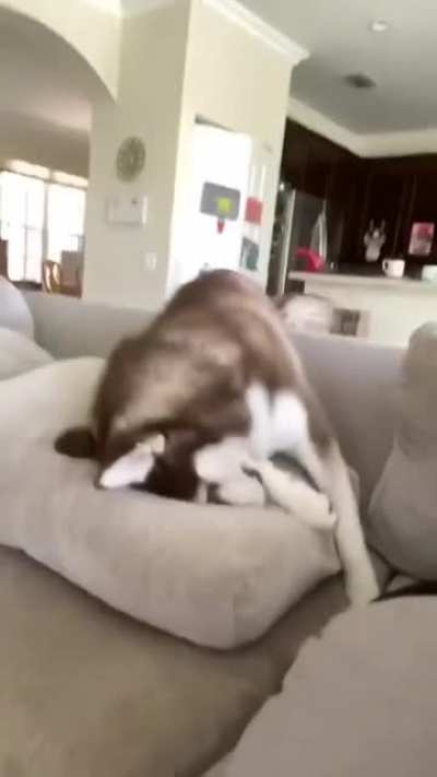 “You won’t let me do anything”