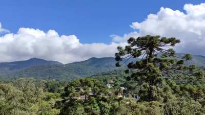 Monte Verde - Minas Gerais ??