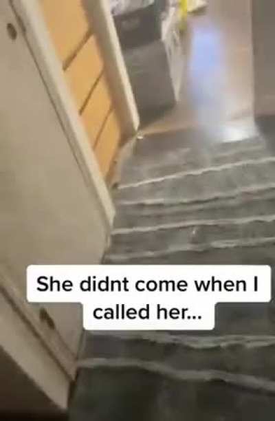 Don’t forget to close the door