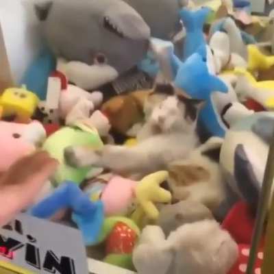 Maybe Maybe Maybe