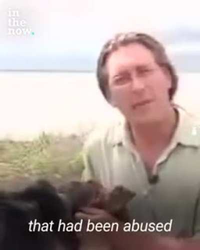 Man takes 19 year old adopted dog with arthritis into Lake Superior to help comfort him ?