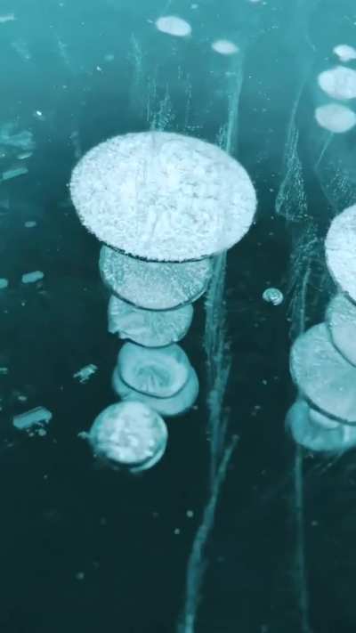 ? A endless expanse of of frozen methane bubbles, filmed on Abraham Lake in Alberta, Canada.