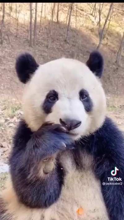 ? Chewing on a snack