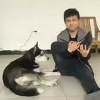 At least he tried
