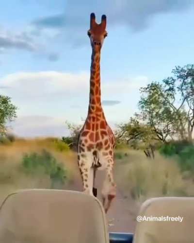This woman looks terrified