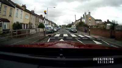 Safety minded cat uses pedestrian crossing on busy road