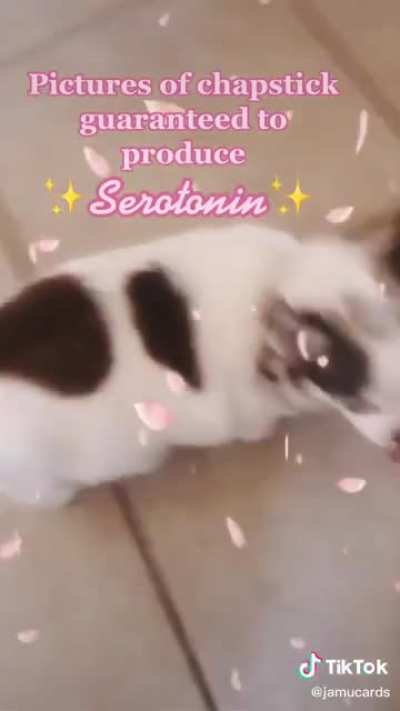 Serotonin: acquired